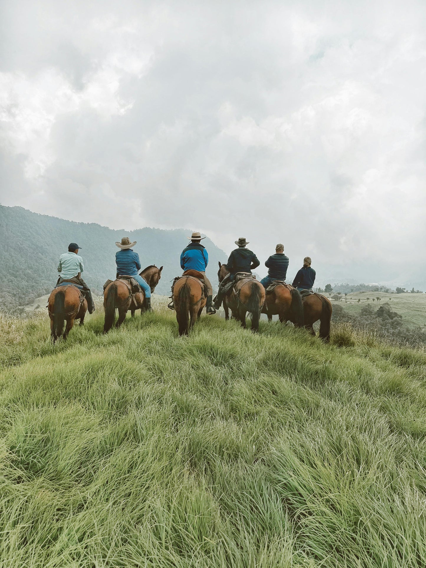 Tbilisi, Georgia: Half-Day Trialeti Ridge Horse Riding Tour