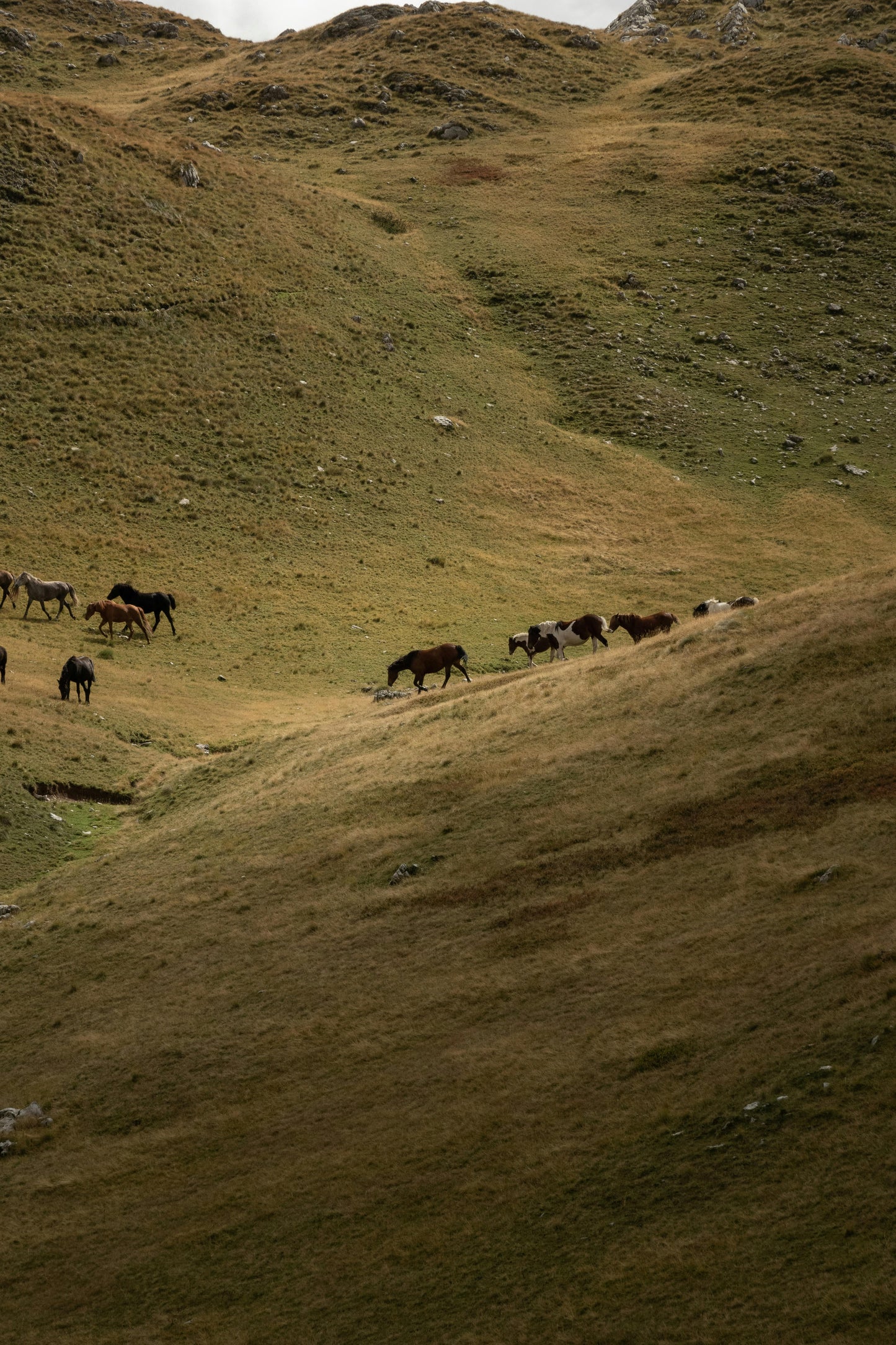 Gogasheni, Georgia: Vardzia Horse Riding Tour