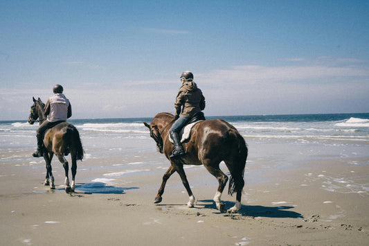 Húsavík, Iceland: 1.5-Hour Seaside Horseback Riding Tour + Pick-Up Available