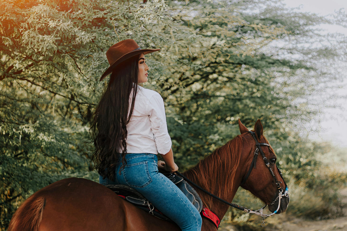 Turangi, New Zealand: Enchanted Forest Horseback Ride