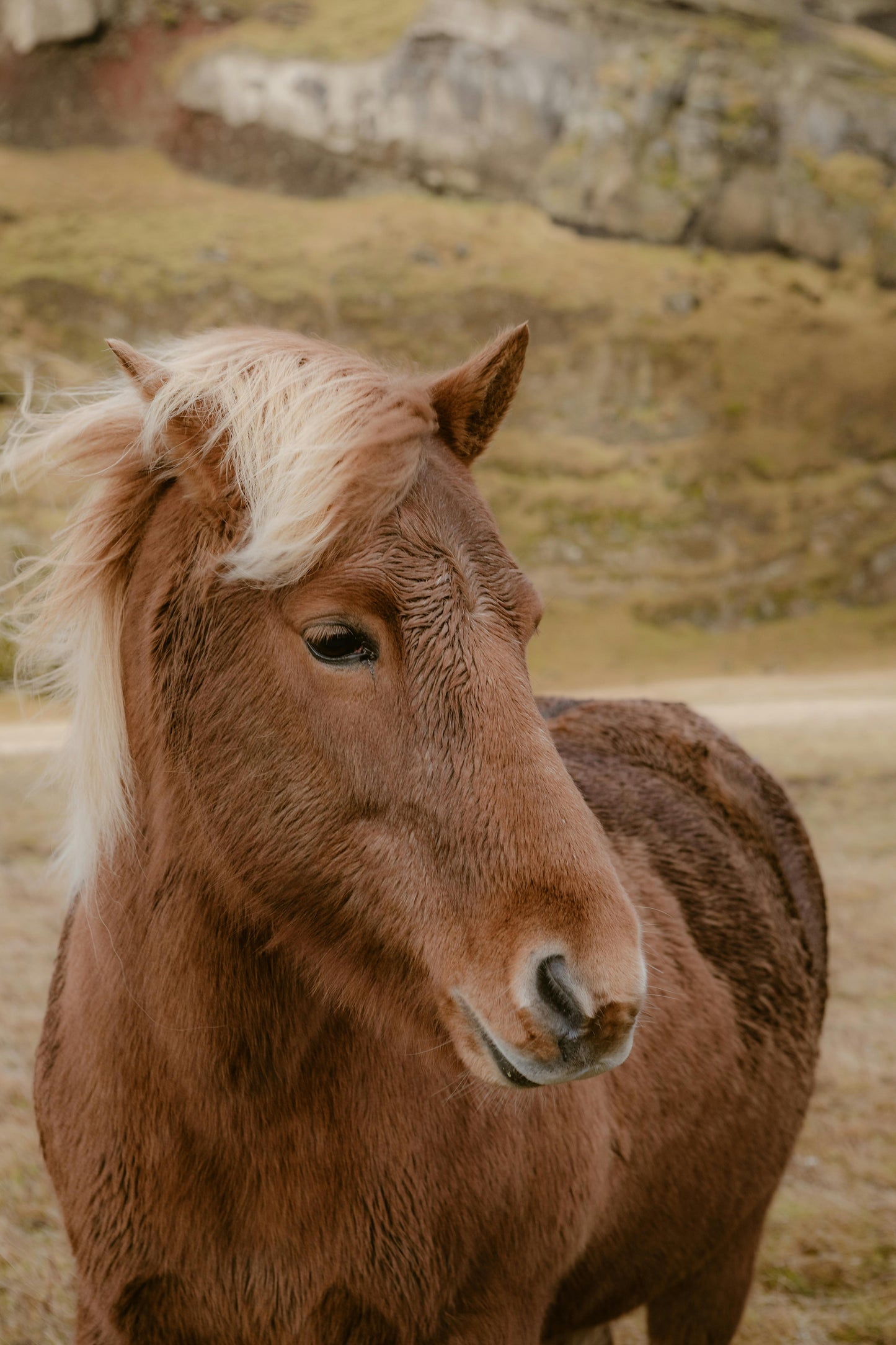 Kuta: Hillside Trail Explore & Horseback Ride + Pick-up Available