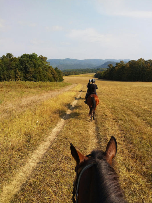 Asureti, Georgia: Full-Day Horseback Experience