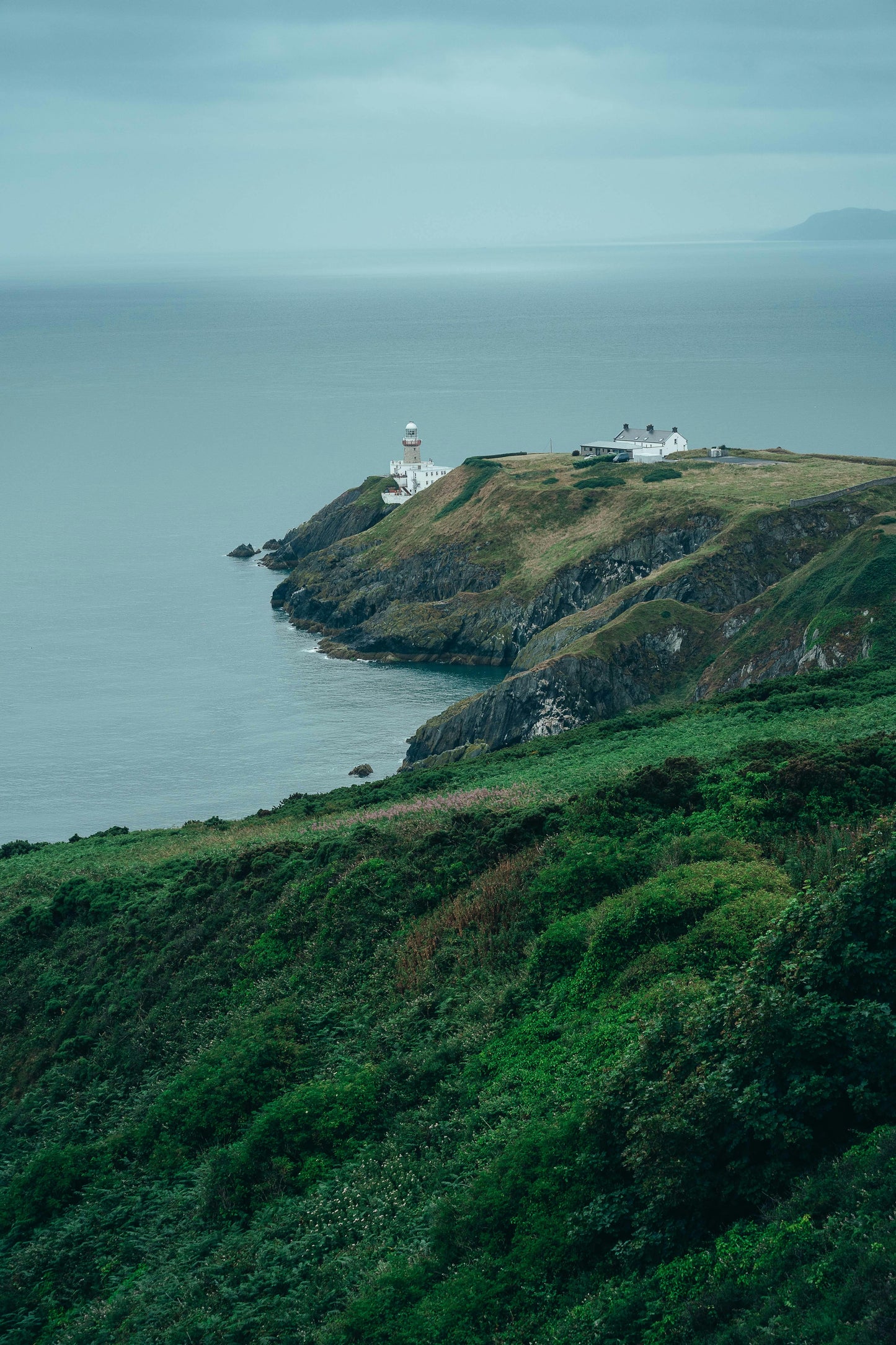 North Antrim: Private Full Gourmet Elegant Hillside Tea Rides + Pick-up Available