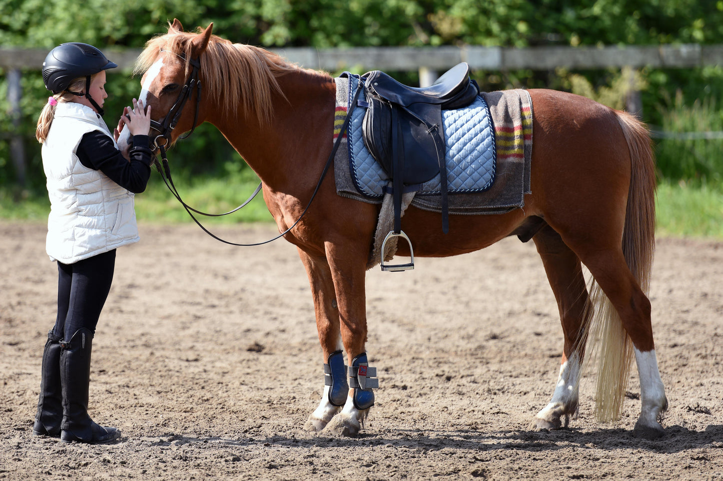 Melides: 1.75-Hour Horse Ride in the Alentejo Hills & Forest + Wine Tasting