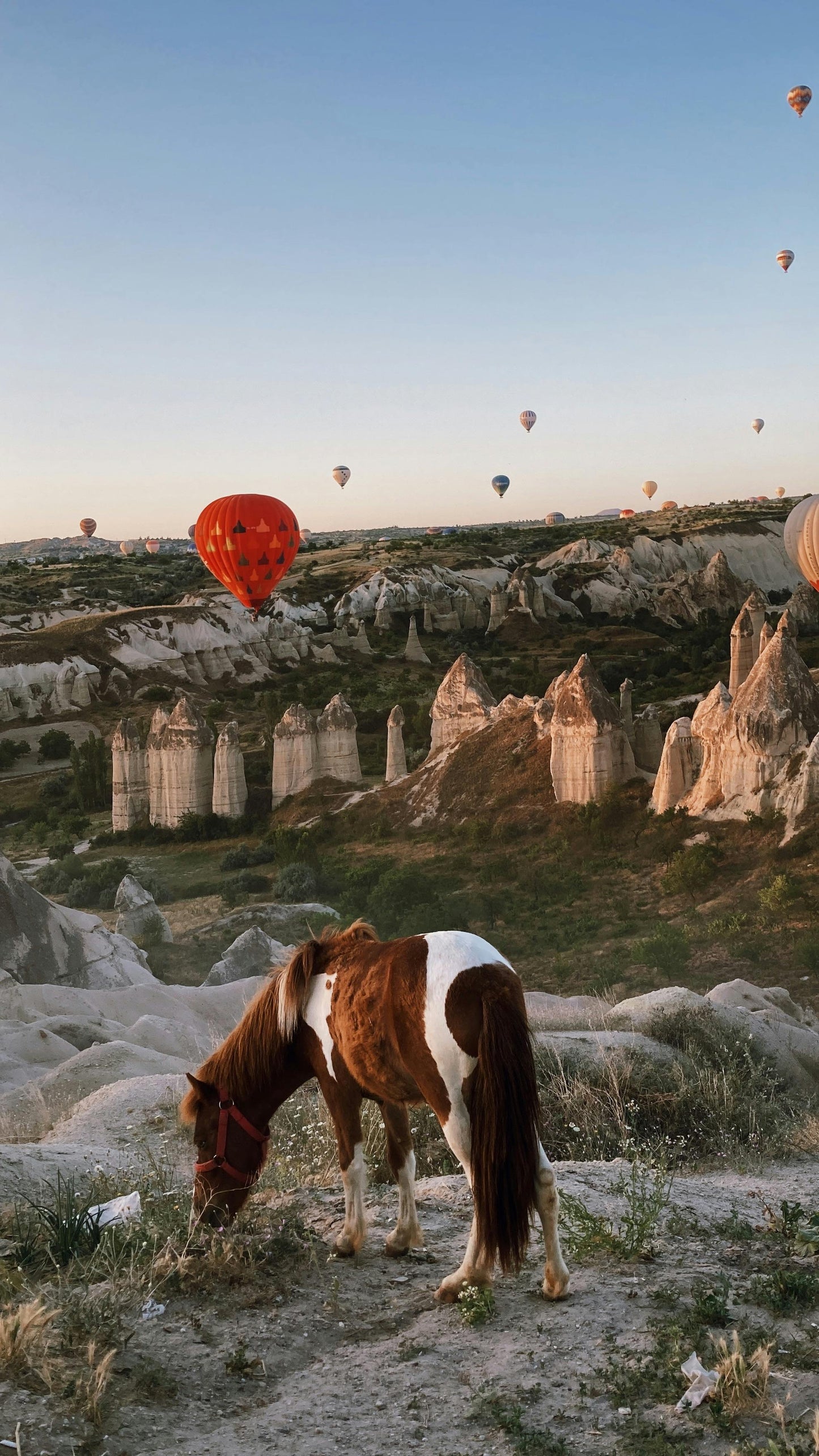 Göreme: Sunrise Horseback Ride Fairytale + Pick-up Available