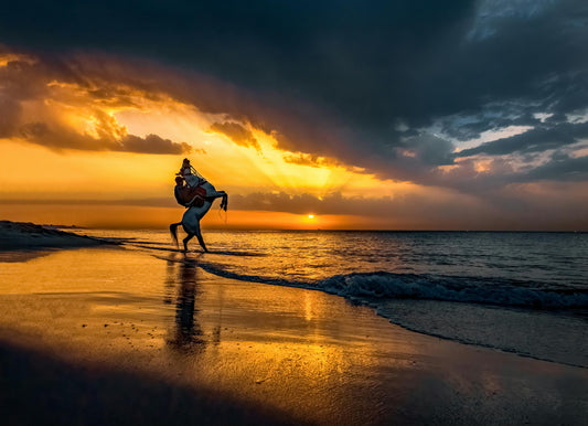 Aguadilla, Puerto Rico: Beach Horseback Experience