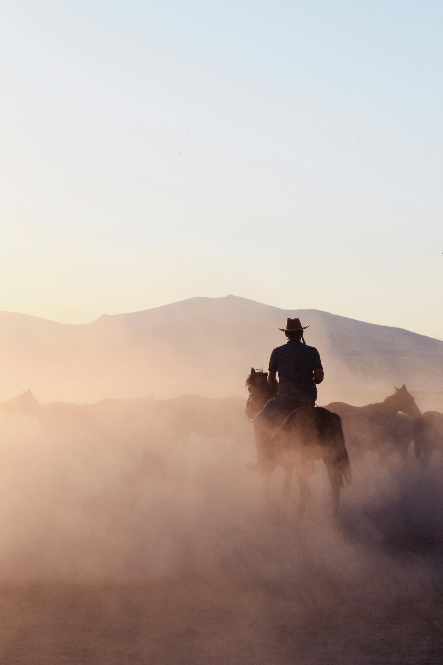 Gurgaon, India: 1.5-Hour Aravali Hills Horseback Adventure
