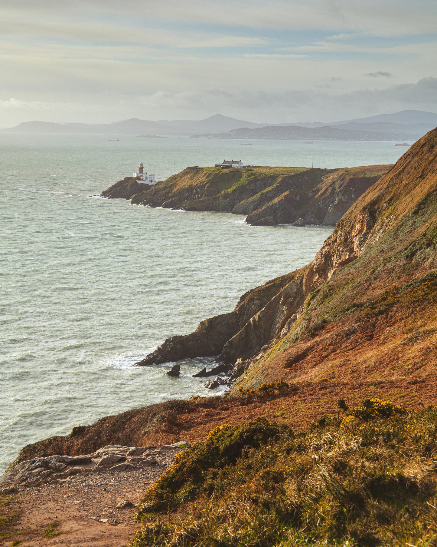 Dublin: Private Magical Coastal Panorama Bike Tour + Pick-up Available