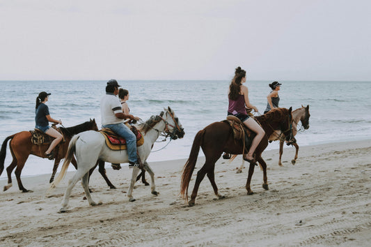 Florida, USA: 1-Hour Golden Beach Sunrise Horse Ride in Amelia Island