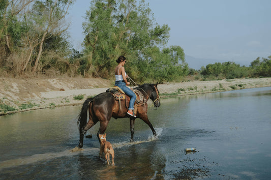 Filandia, Colombia: Full-Day Journey to the River on Horseback