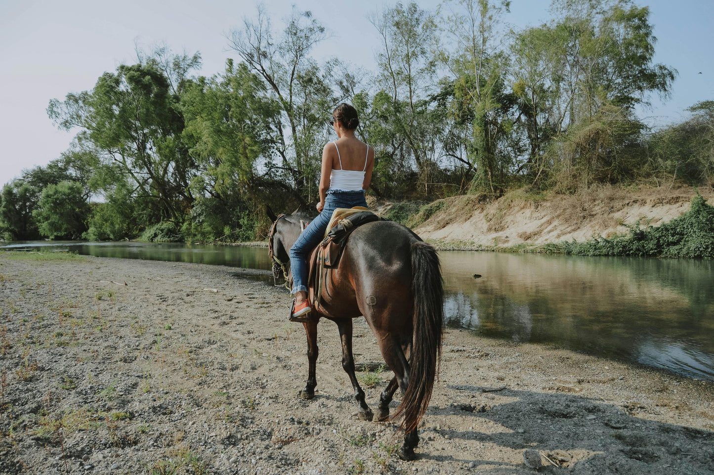Filandia, Colombia: Full-Day Journey to the River on Horseback