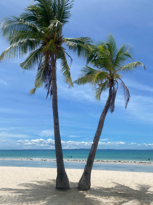 Bohol, Philippines: Pamilacan Island Tour with Dolphins