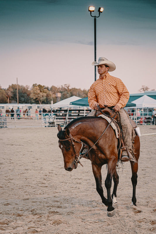 Utah, USA: 1.5-Hour Introductory Horse Ride