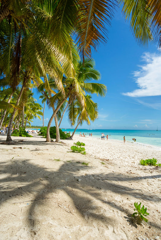 Barkers Beach, Cayman Islands: 1-Hour Beach Horseback Riding