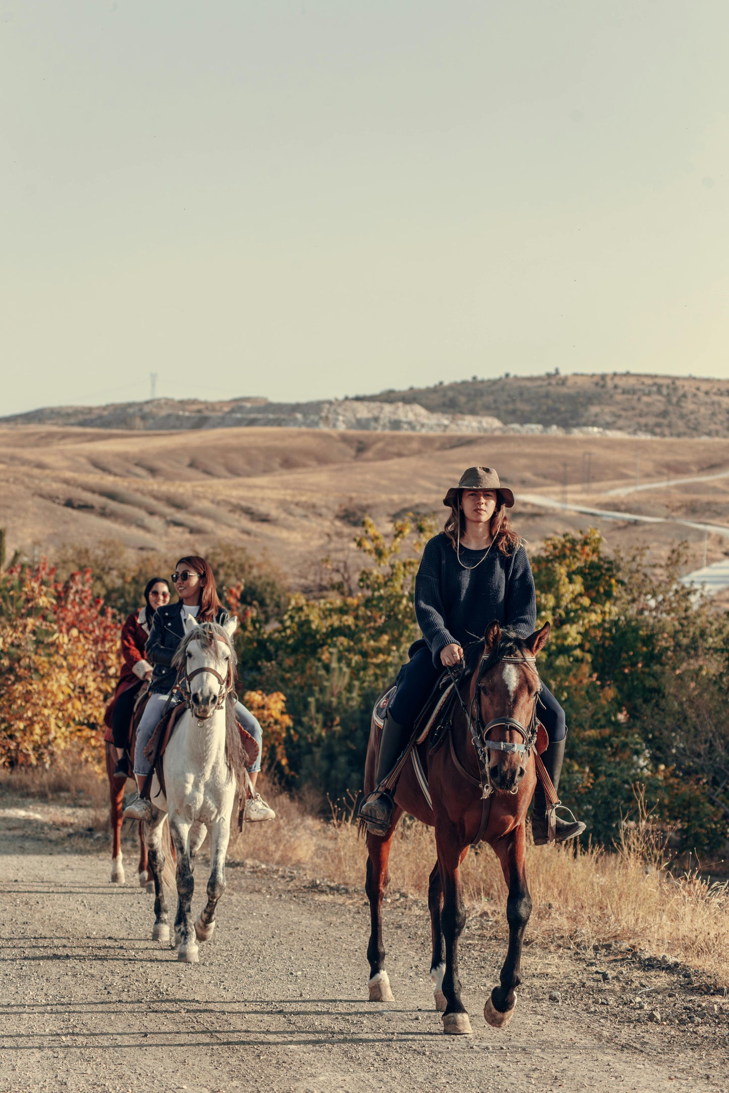 Santiago: Private Horseback Ride to Volcanoes + Lunch + Wine Tasting + Pick-Up & Drop-Off