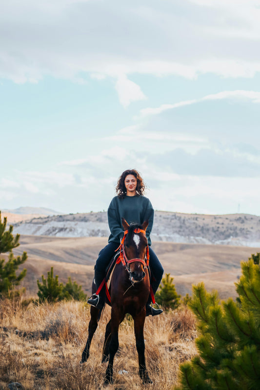 Lofoten, Norway: Full-Day Horseback Adventure on Gimsøy Island + Lunch