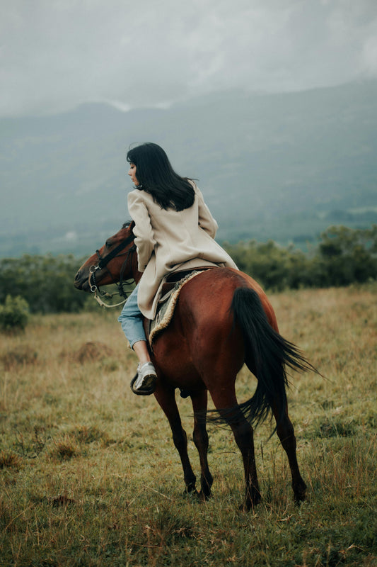 Kazbegi, Georgia: Truso Valley Horse Riding Tour