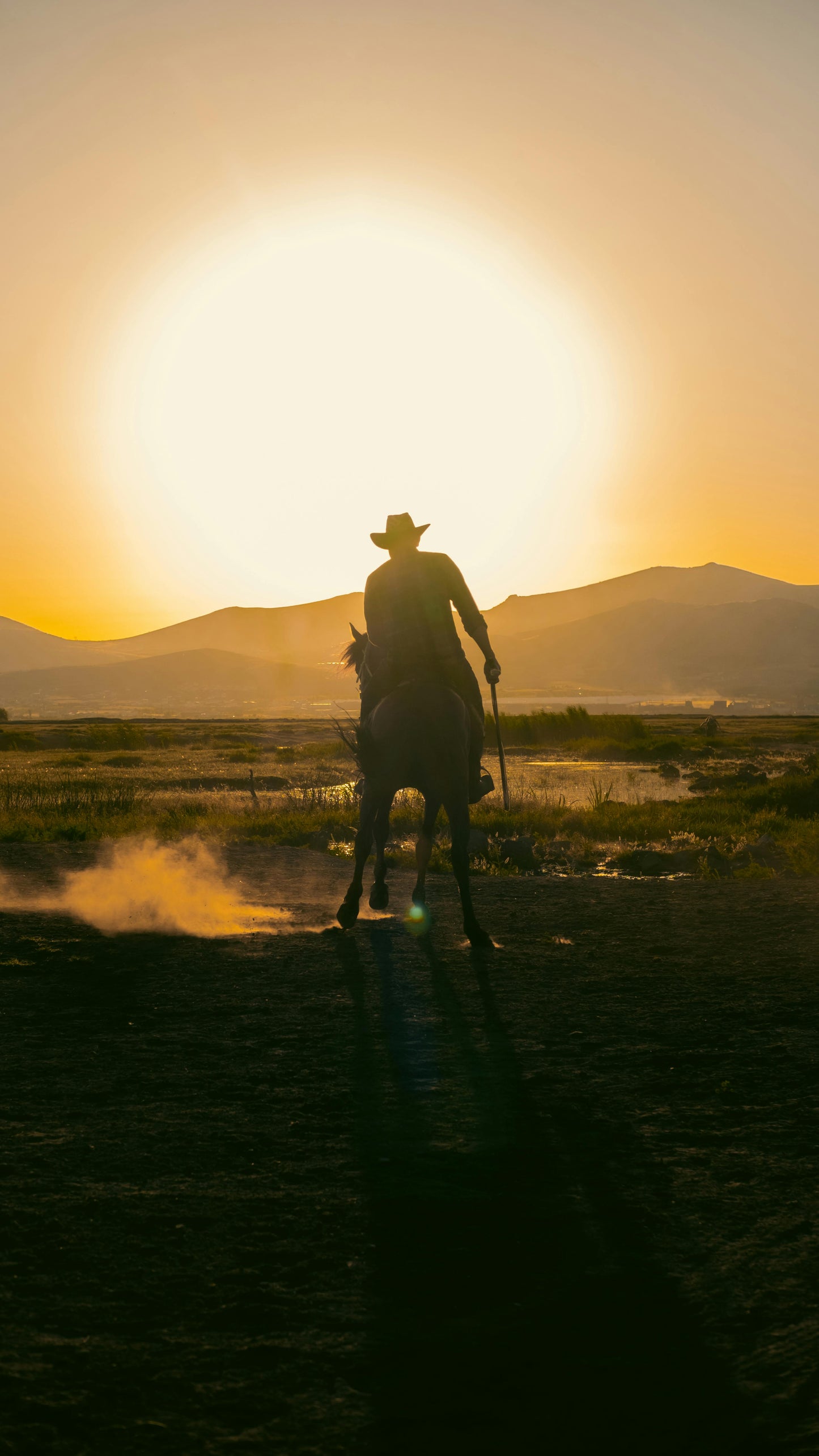Gurgaon, India: 1.5-Hour Aravali Hills Horseback Adventure