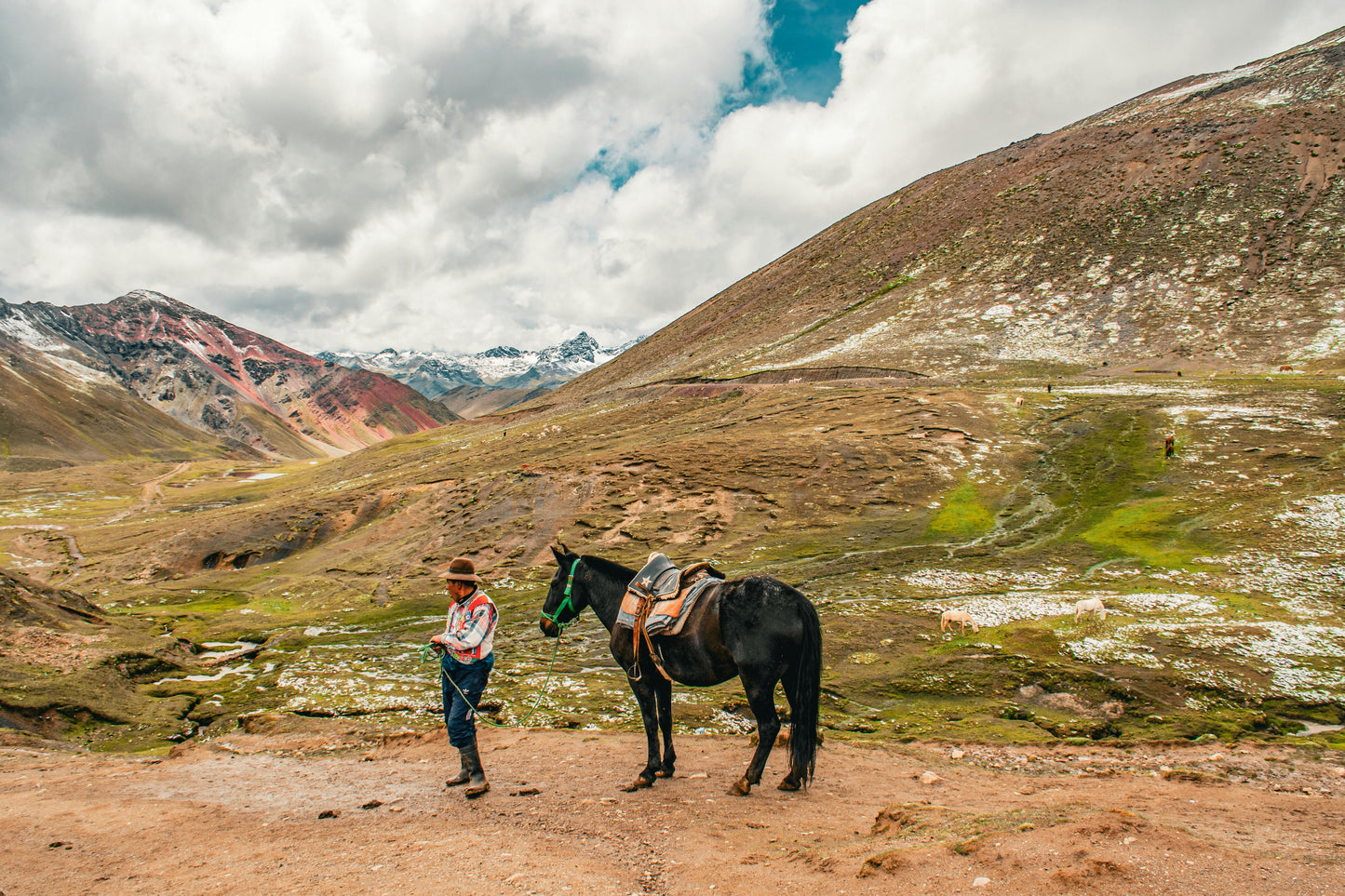 Cusco: Full-Day Rainbow Mountain Horse Ride + Lunch + Pick up