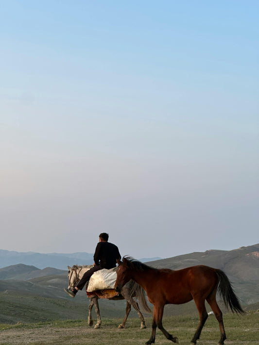 Tagaytay: Private Volcano Summit Horseback Ride Trek Adventure + Pick-up & Drop-off
