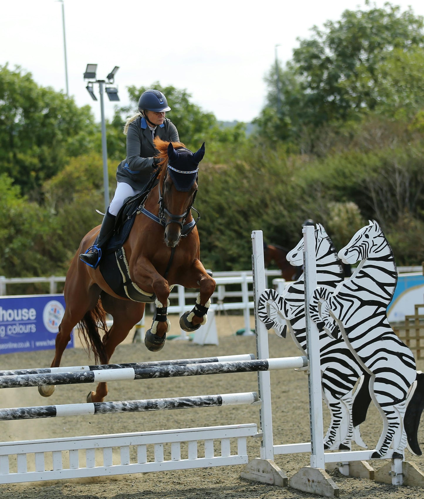 North Antrim: Horseback Ride Jumper Quest + Pick-up Available