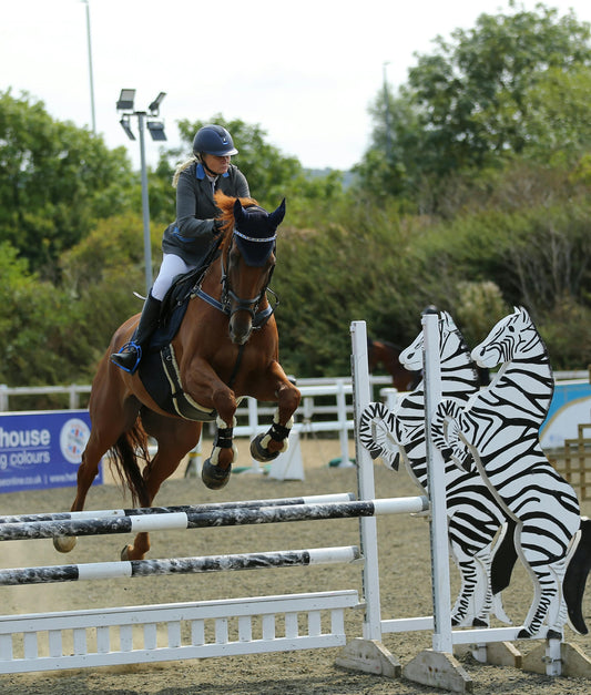 North Antrim: Horseback Ride Jumper Quest + Pick-up Available