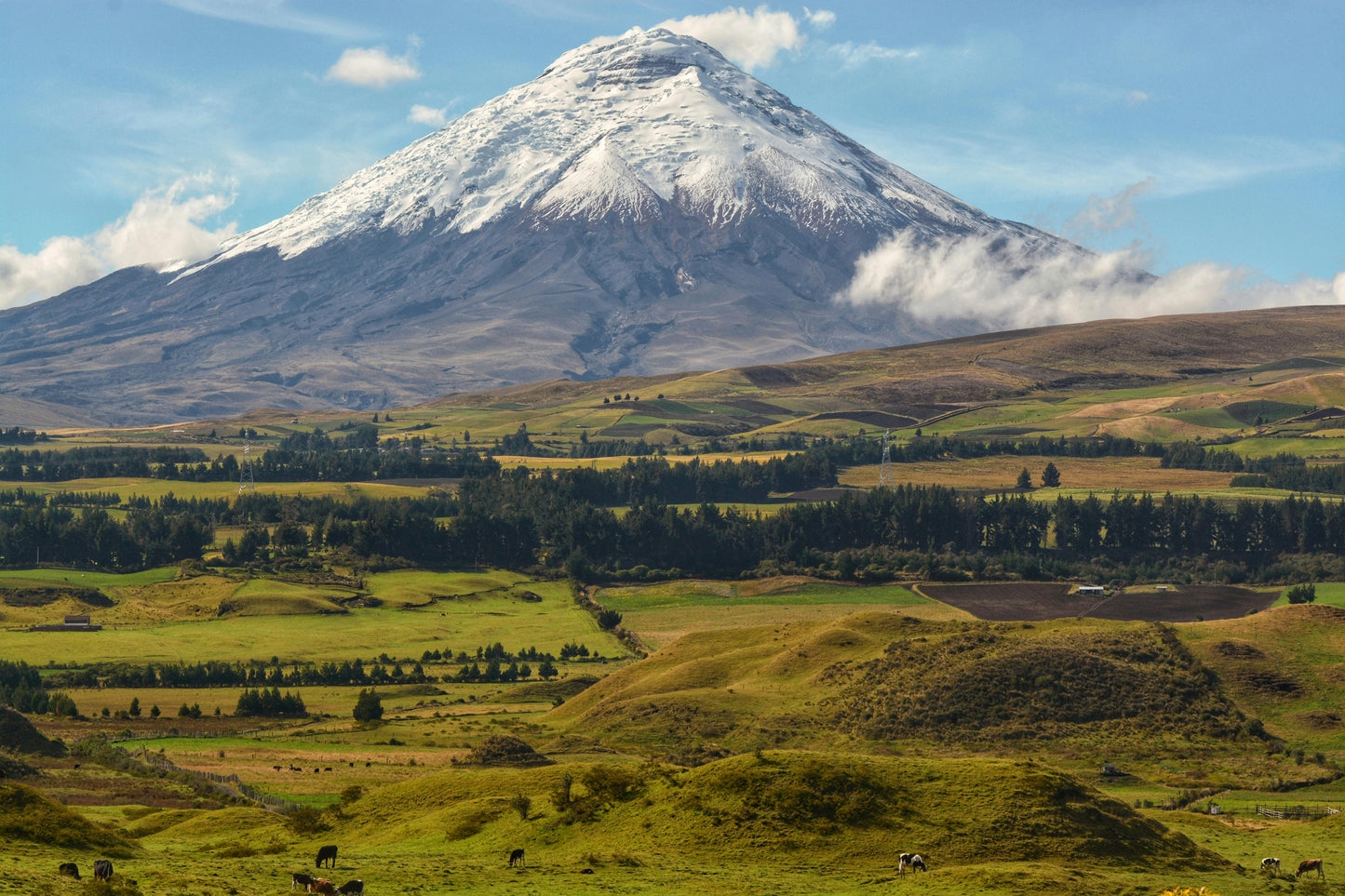 Quito, Ecuador: Cotopaxi Horseback Adventure + Lunch