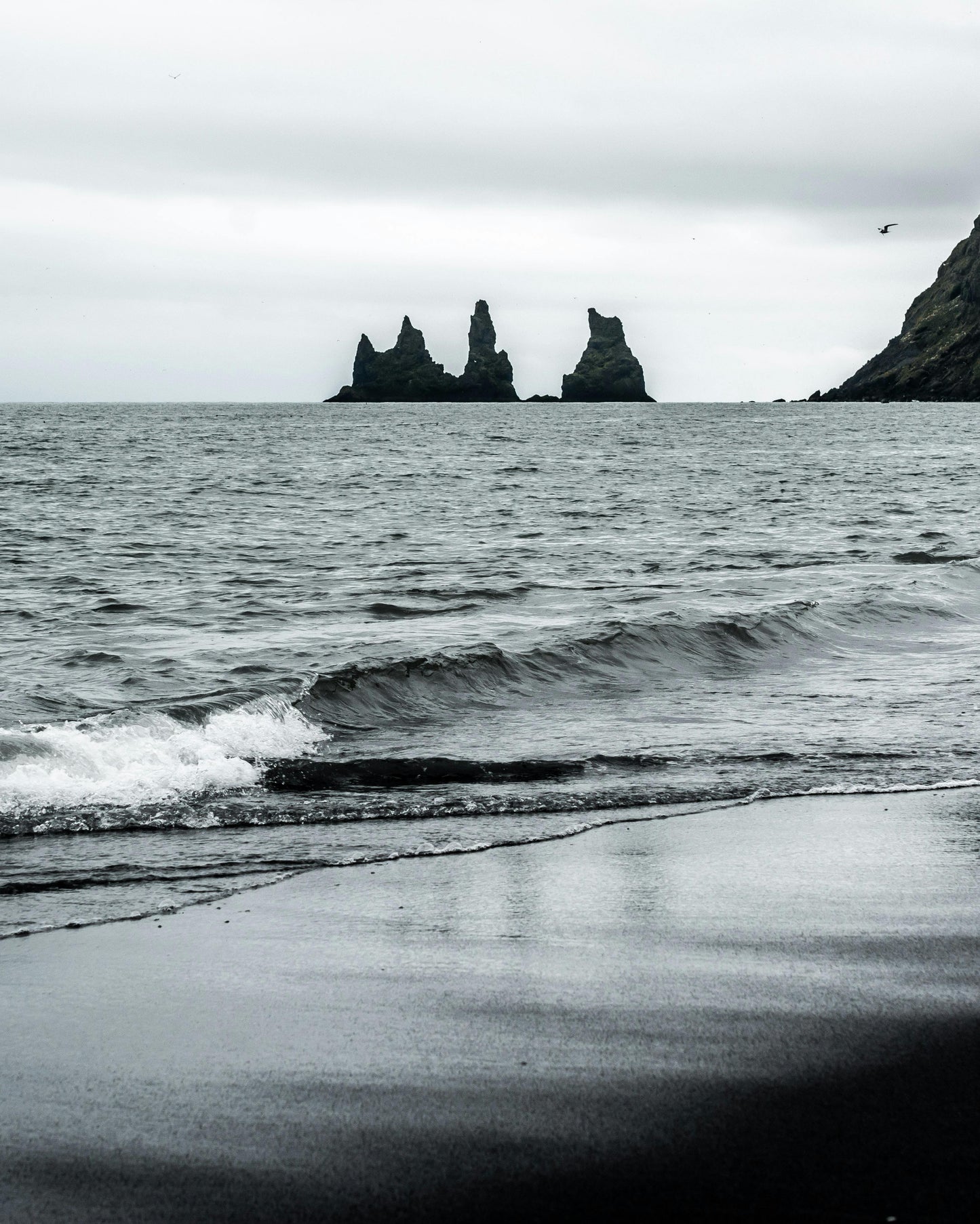 Iceland: Black‑Sand Beach Horseback Adventure