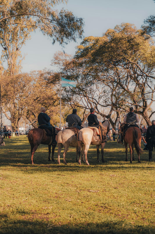 North Antrim: The Ultimate Farm-tastic Fun Ride + Pick-Up Available