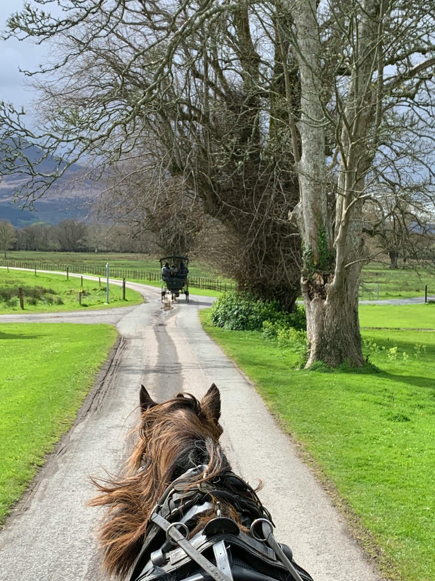 Arizona: Private Sunset Picnic Horseback Ride + Wine Tasting + Pick-up Available