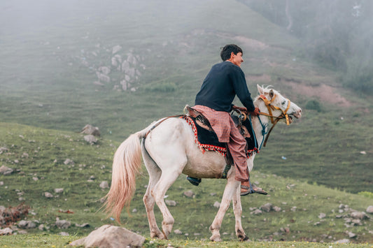 Wicklow: Best Horseback Ride Trails + Pick-Up Available