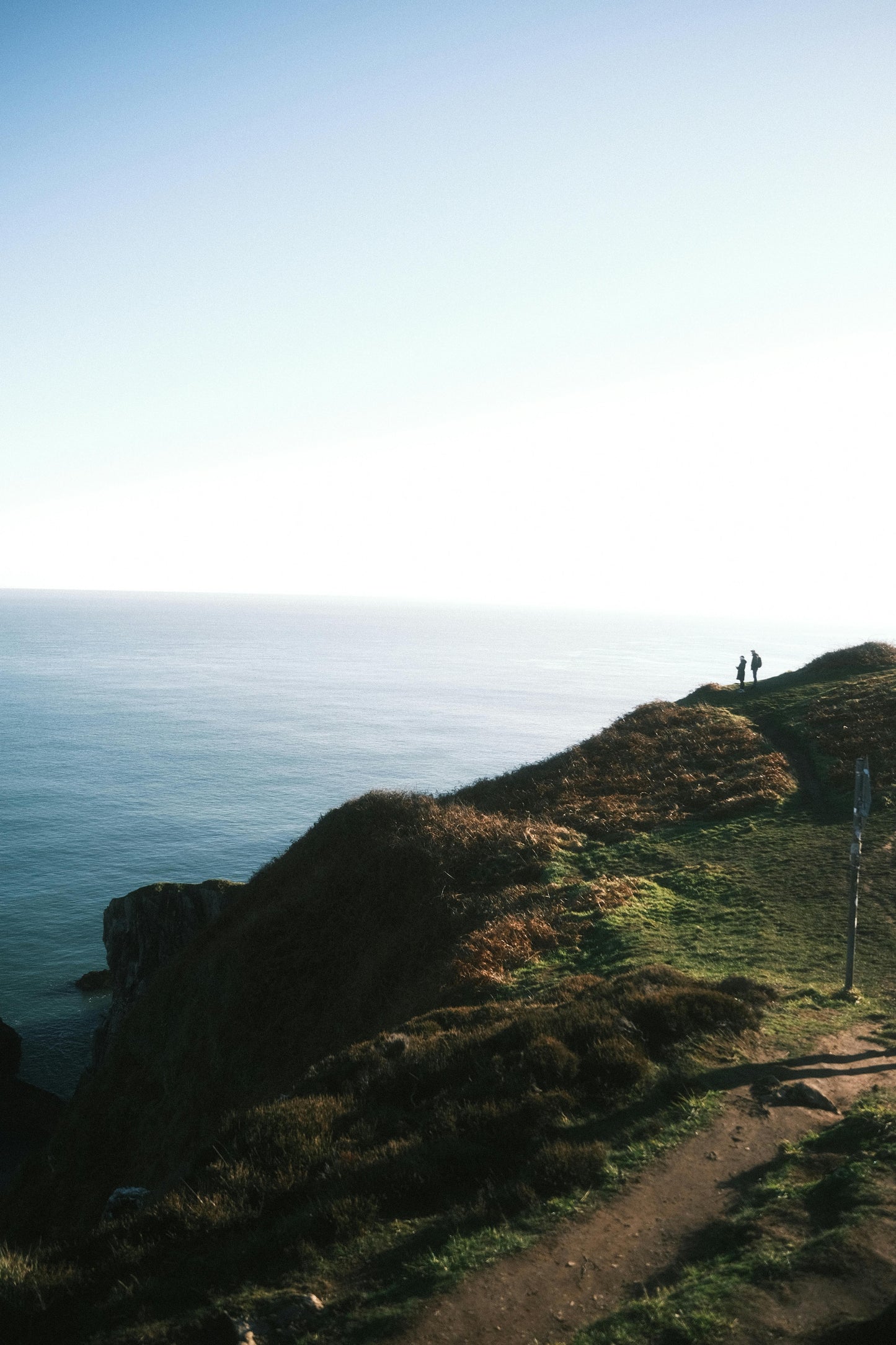 Dublin: Hidden Coastal Safari Trail Hike + Hot Drinks & Scone + Pick-up Available