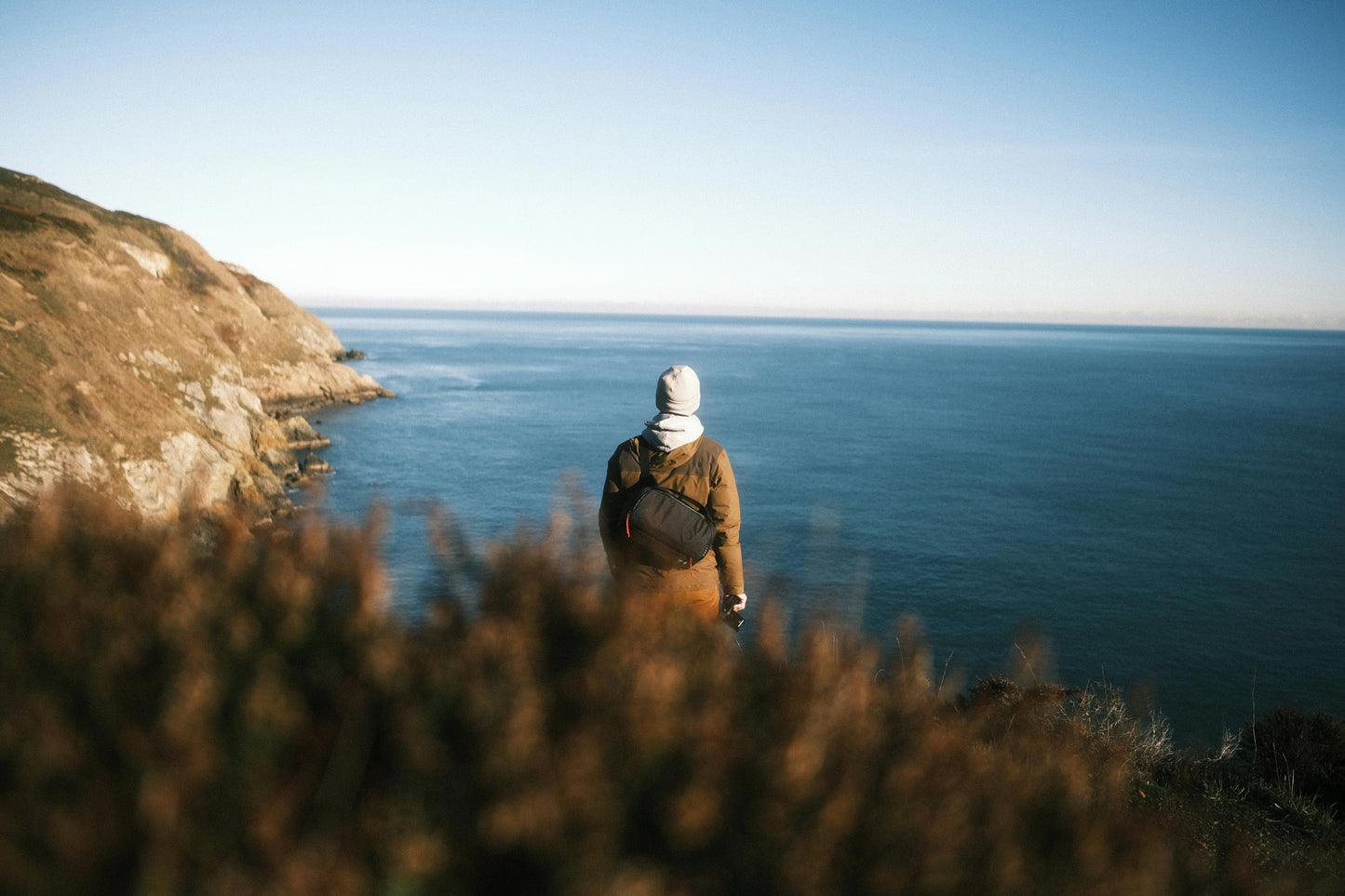 Dublin: Hidden Coastal Safari Trail Hike + Hot Drinks & Scone + Pick-up Available