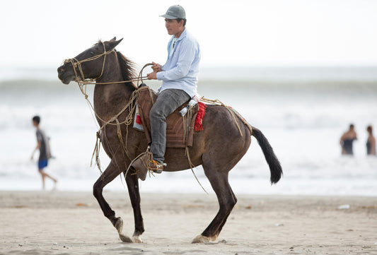 Zanzibar: 4-Hour 25km Northern Explorer Ride