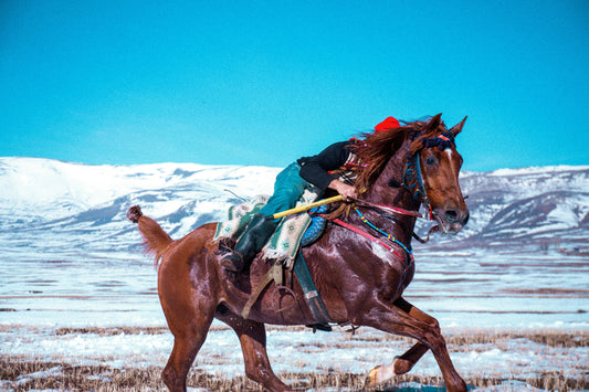 Ulaanbaatar, Mongolia: Full-Day Horse Ride in Terelj National Park + BBQ Lunch