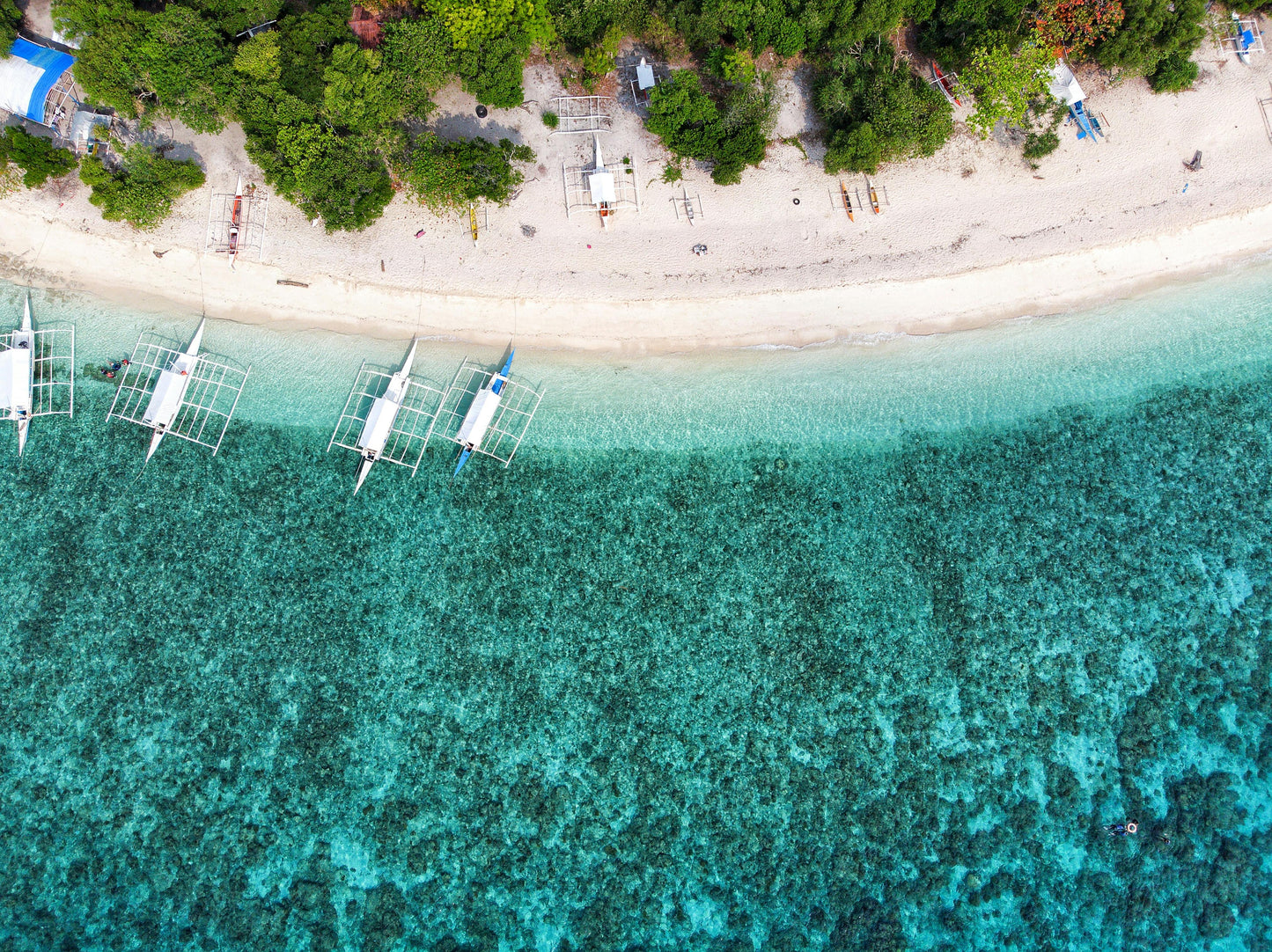 Bohol, Philippines: Pamilacan Island Tour with Dolphins