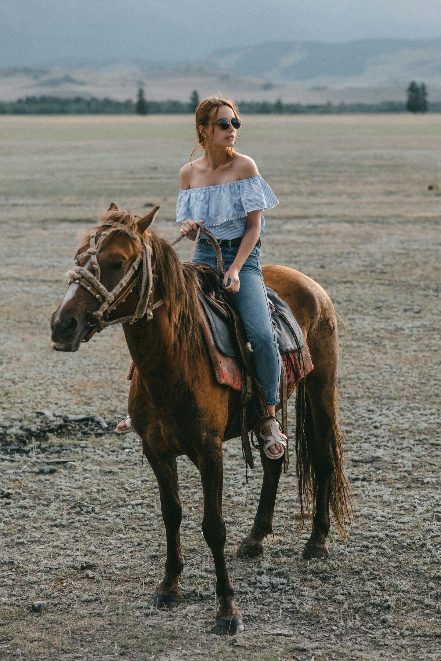 Auckland: Horseback Riding Through Vines with Wine & Dine