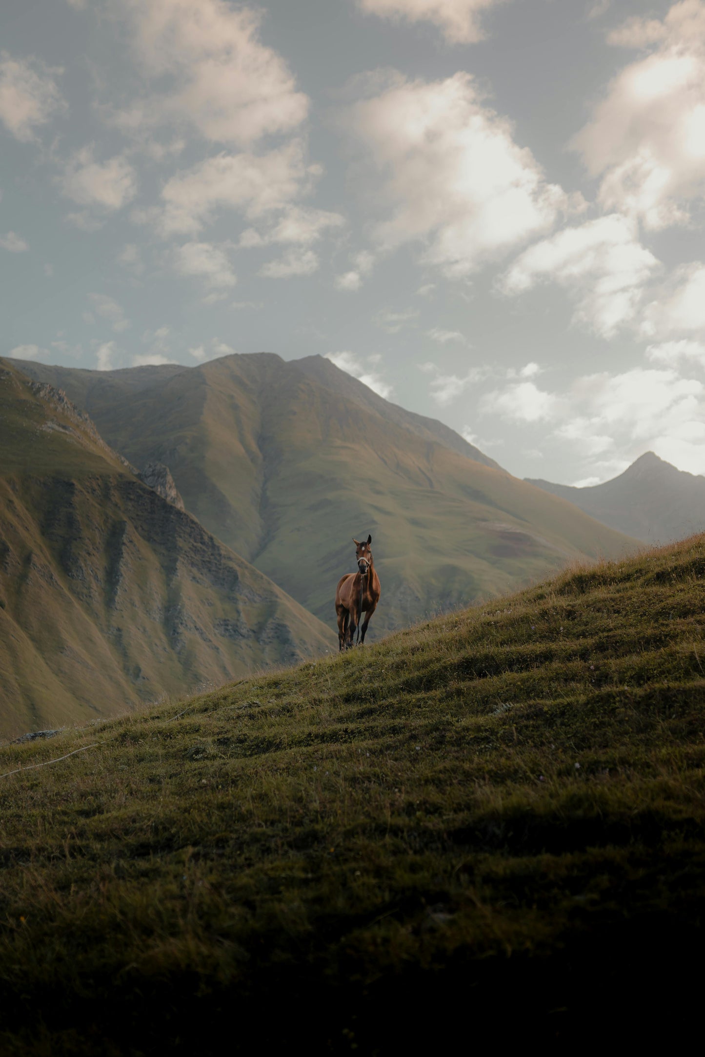 Samegrelo, Georgia: A 4-Hour Horseback Adventure