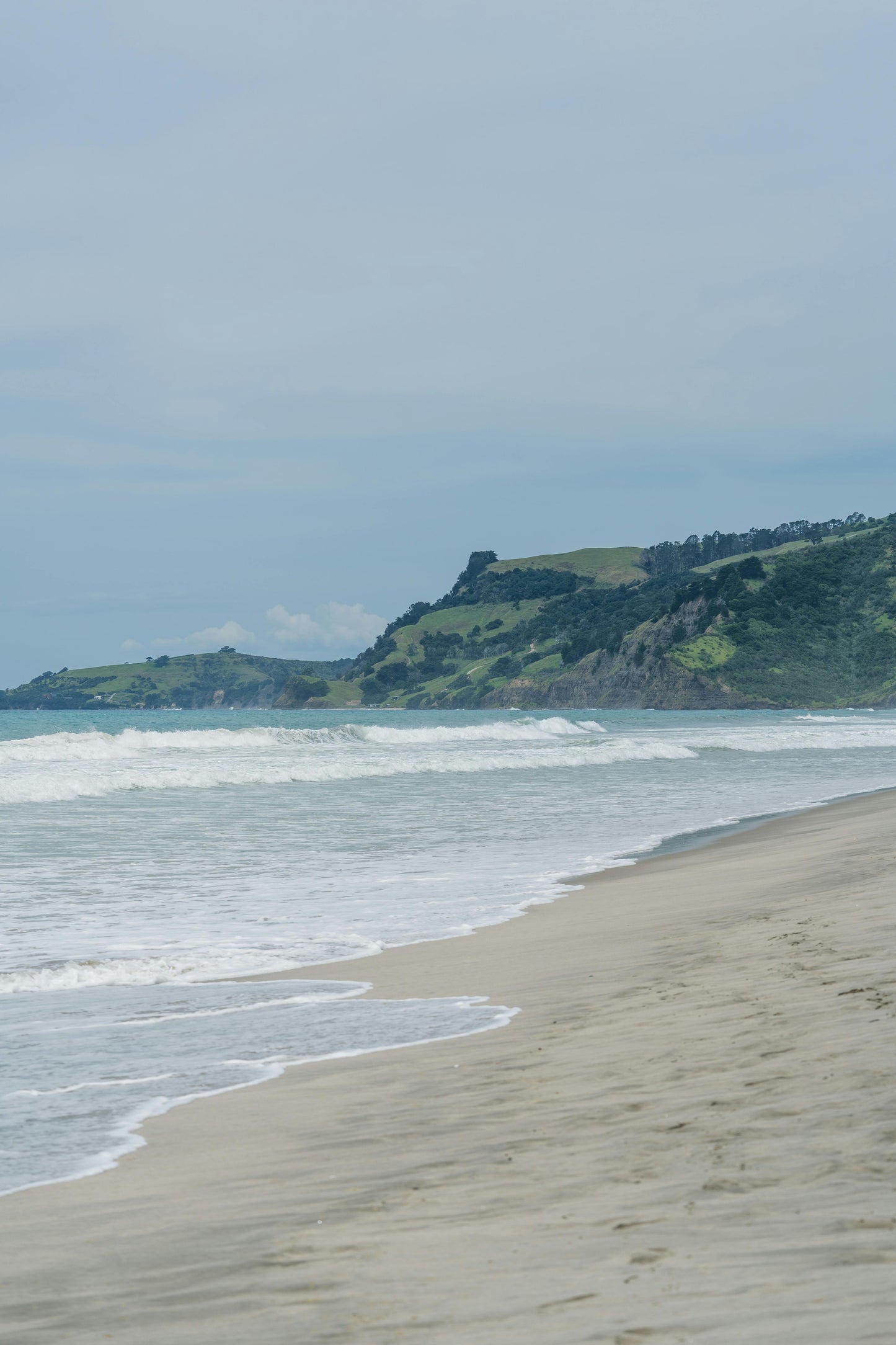 Northland Region, New Zealand: 1.5-Hour Horse Riding Adventure at Uretiti Beach