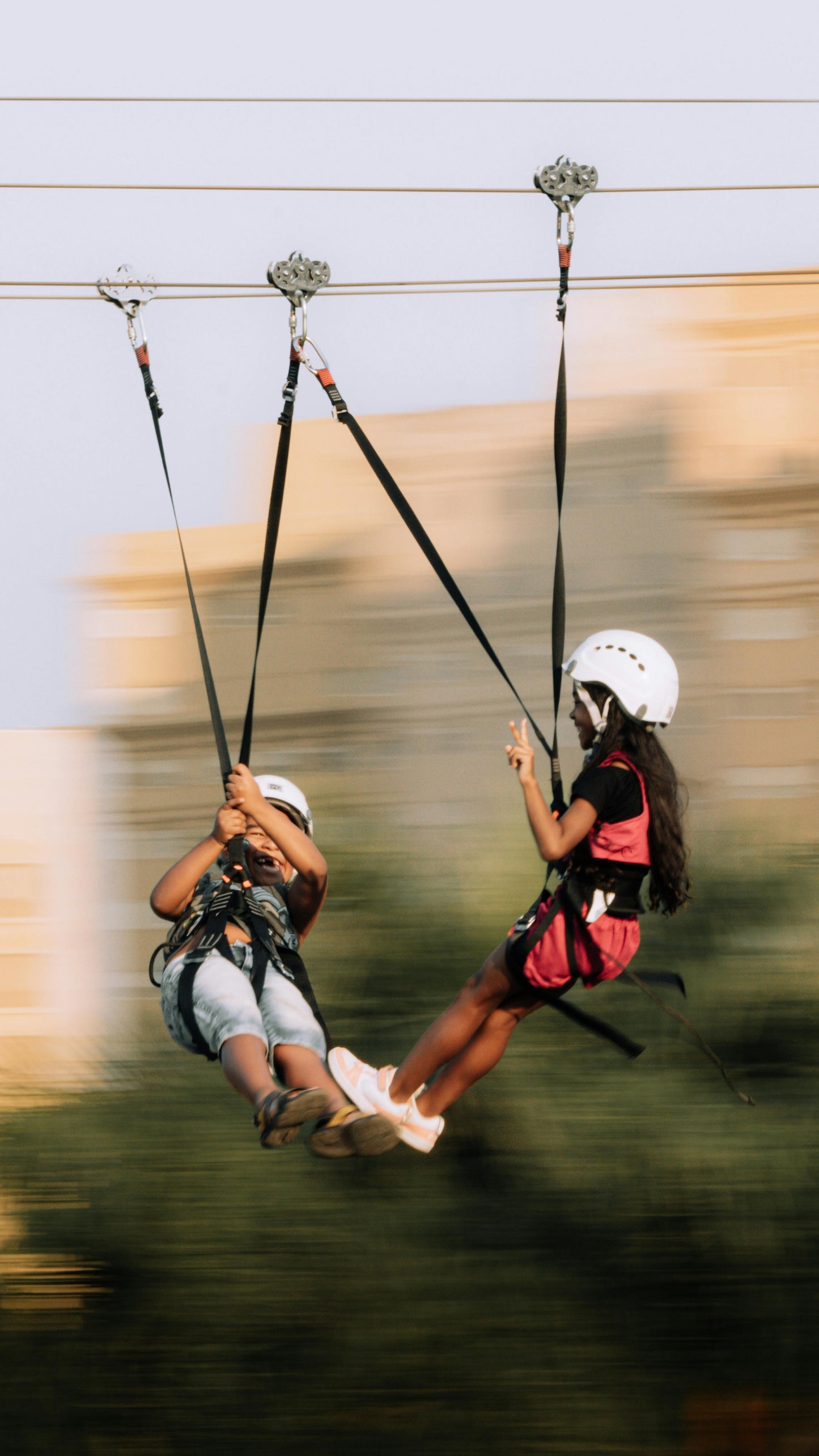 Michigan: Zipline Adventure Tour + Pick-up Available