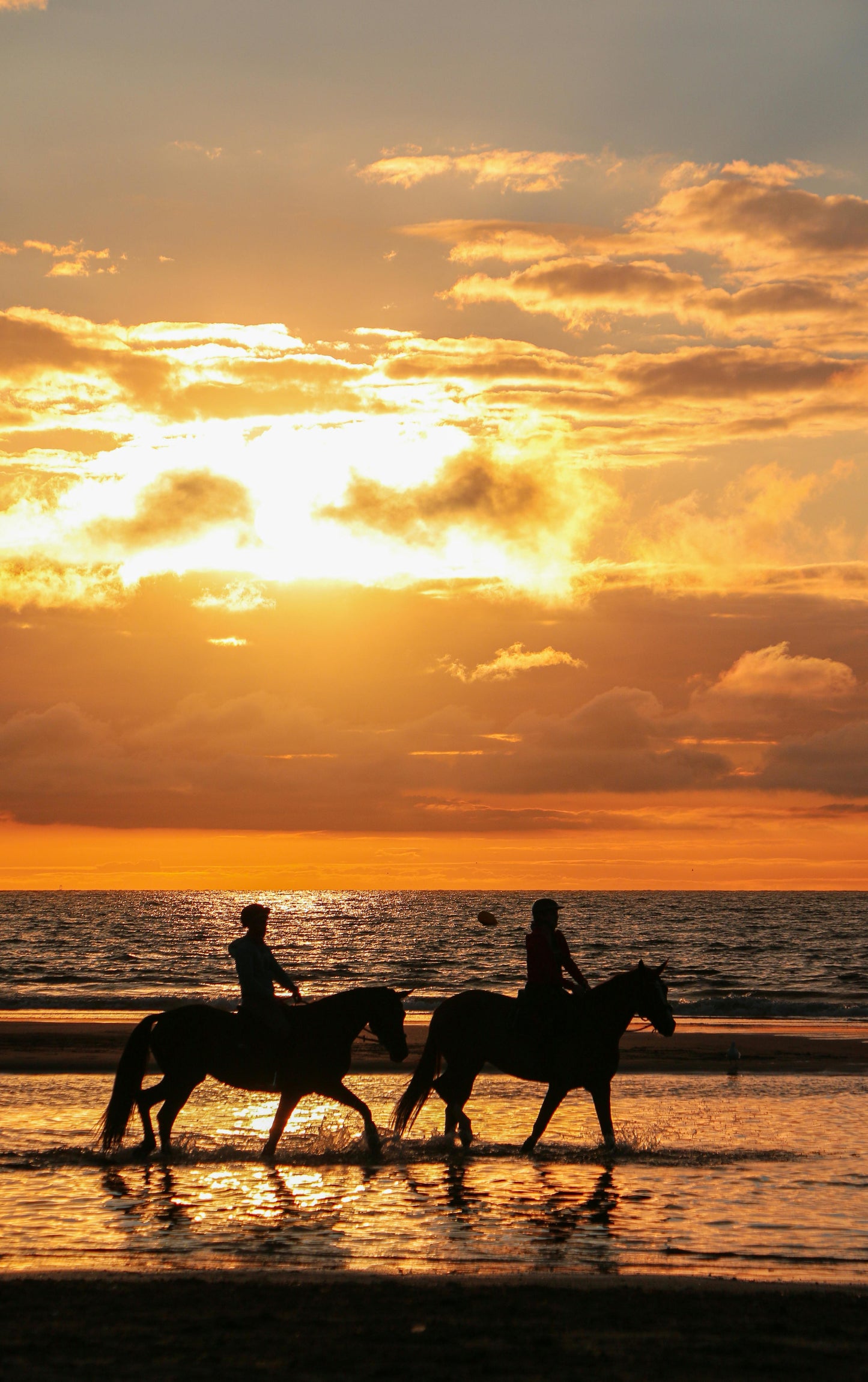 Australia: Coffs Harbour Beach Horse Ride & Lagoon Swim