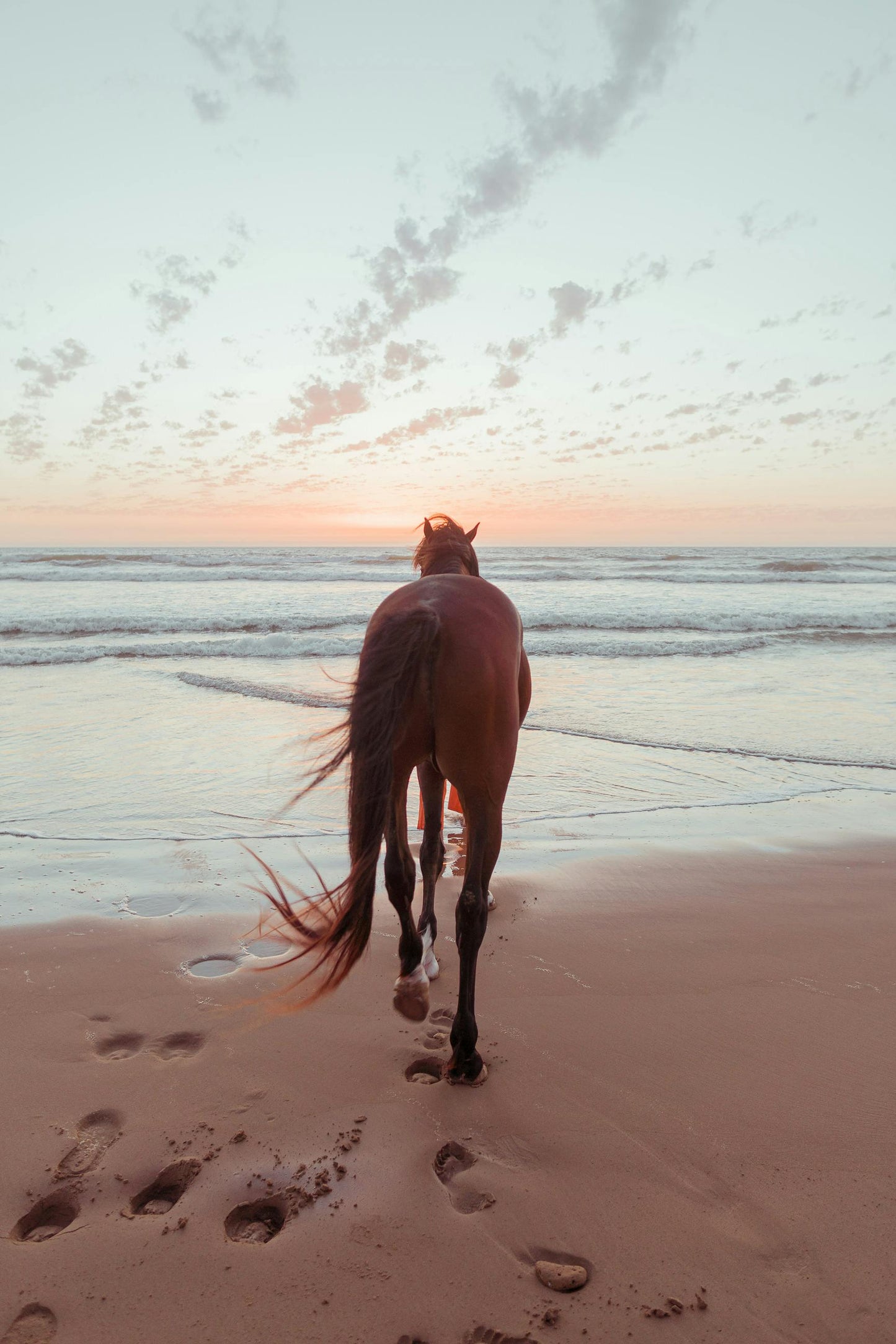 Nassau, Bahamas: Horseback Riding Adventure on Beaches & Trails