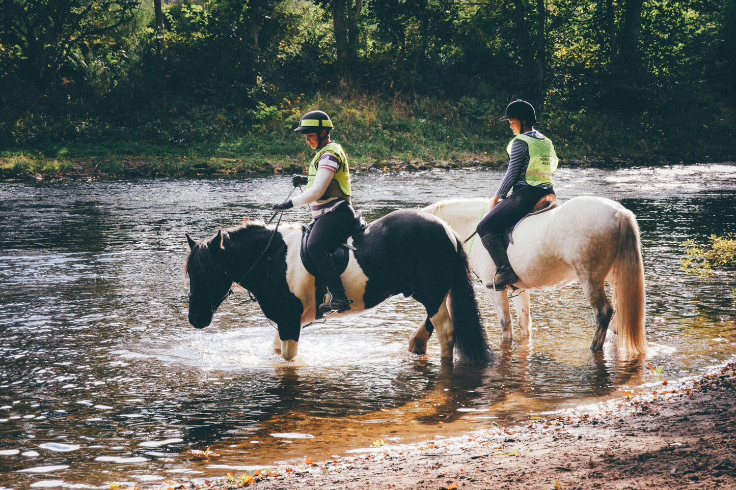 Filandia, Colombia: Full-Day Journey to the River on Horseback