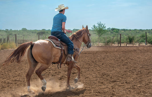 Utah, USA:5-Hour Wrangler Ride with Campfire Cowboy Meal