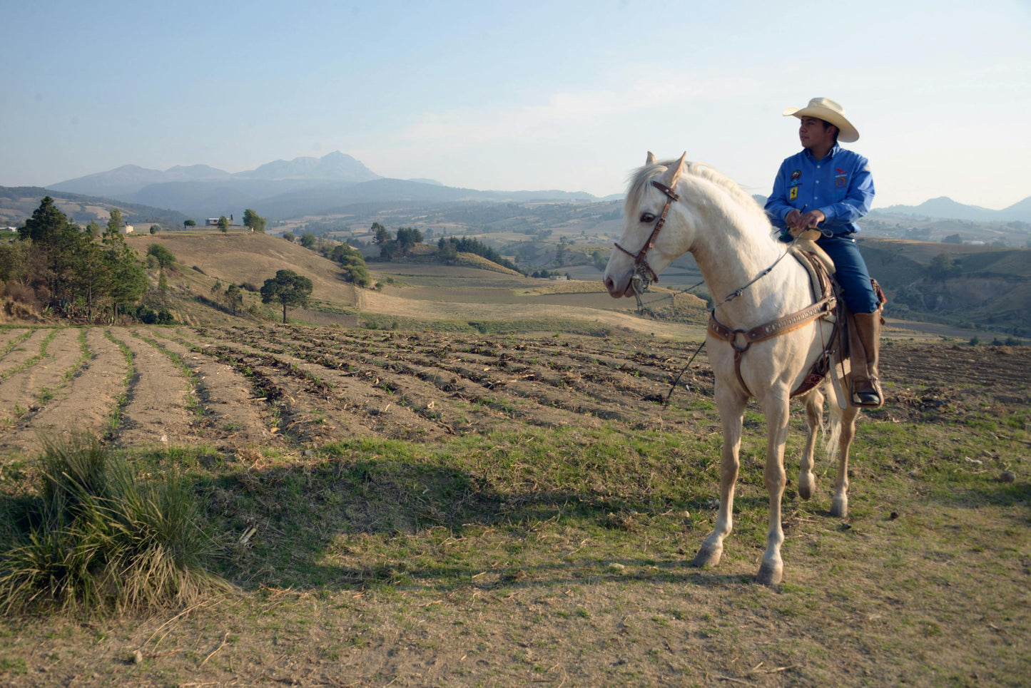 Filandia, Colombia: Scenic Horseback Adventure in Coffee Country