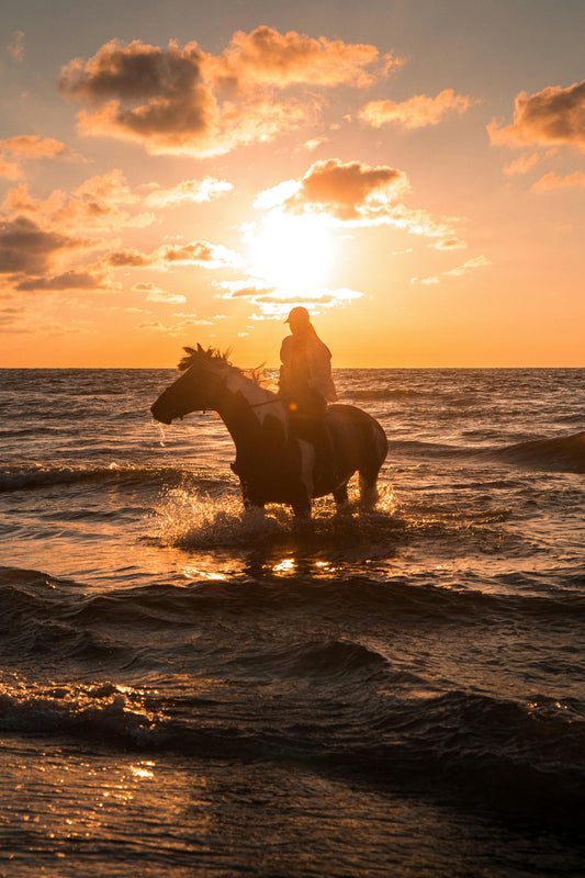 Agonda, Goa, India: 30-Minute Horse Swim Adventure