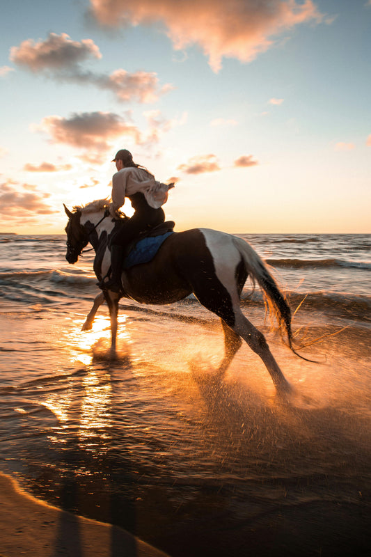Matapalo, Costa Rica: 2-Hour Private Ride Through Jungle Trails & Ocean Shores