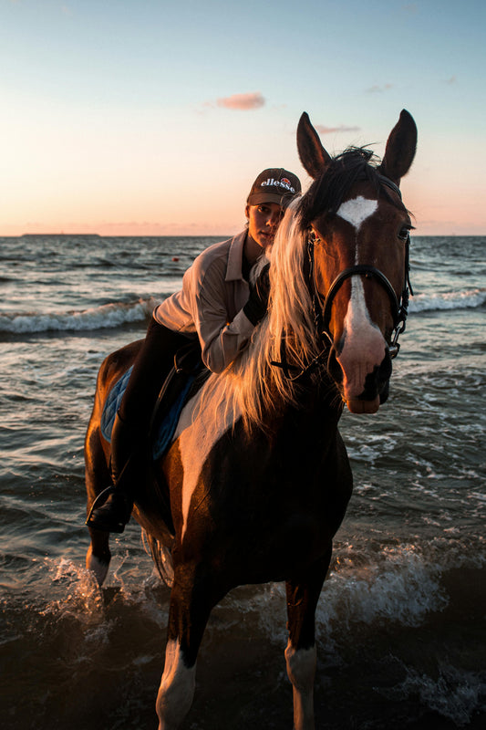 Paradera, Aruba: Scenic Beach Horseback Adventure + Pick-Up