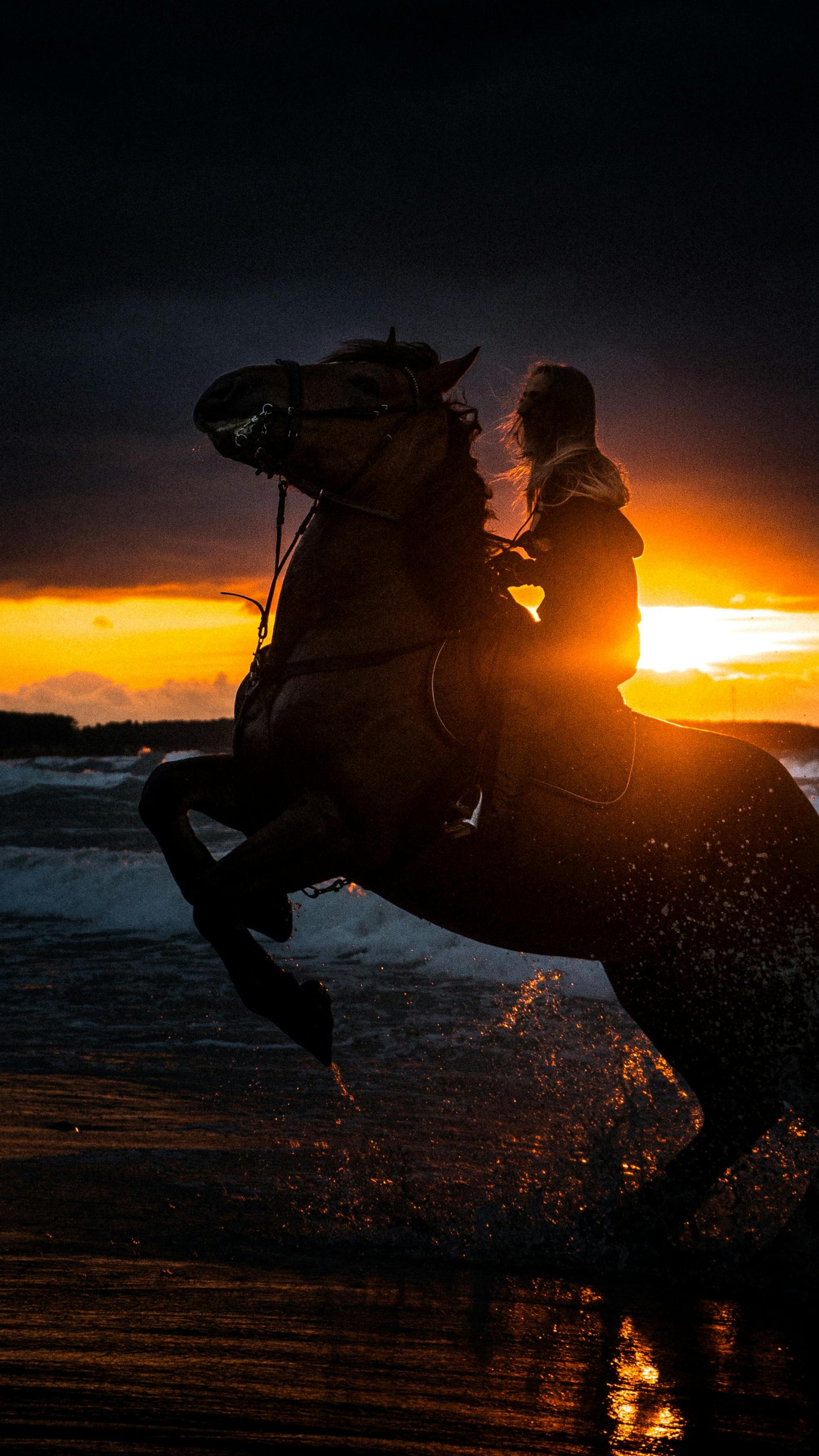 Zanzibar, Tanzania: 2-Hour Jungle & Village Sunset Horse Ride