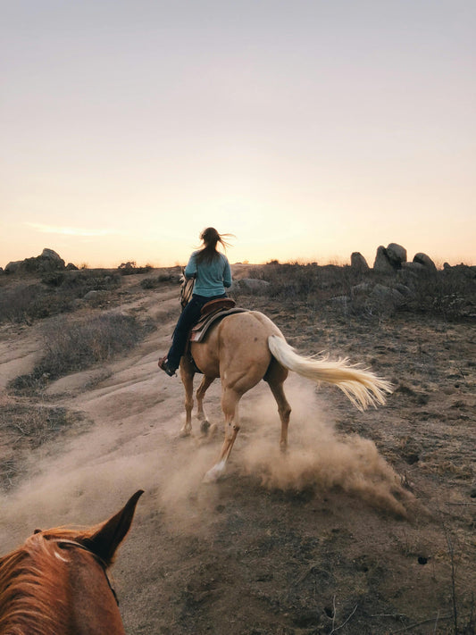 Bueno Aires, Argentina: Gaucho Horseback Adventure in the Pampas